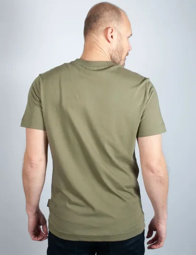 Napapijri AYAS Short Sleeve Logo T-Shirt | Green Lichen