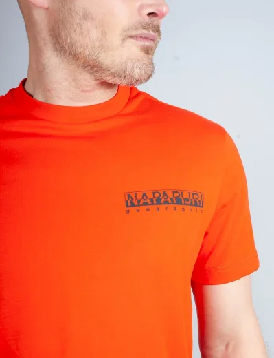 Napapijri Gouin Short Sleeve T-Shirt | Orange Spicy