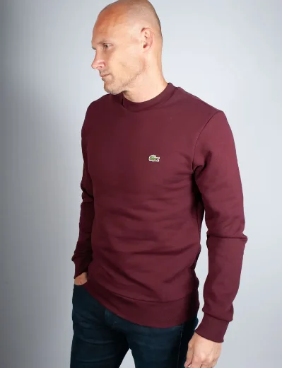 Men's Lacoste Organic Brushed Cotton Sweatshirt | Espresso