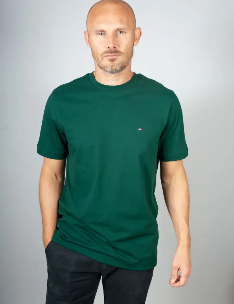 Picture of Tommy Hilfiger Essential Seasonal Regular Fit T-Shirt | Ornamental Green