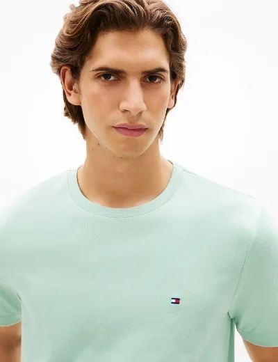 Tommy Hilfiger Seasonal Regular Fit T-Shirt | Crushed Mint