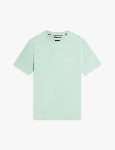 Tommy Hilfiger Seasonal Regular Fit T-Shirt | Crushed Mint